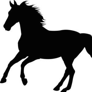 Icone cheval 470