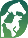 Ostéopathe Animalier